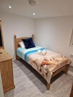 Single Room with Shared Shower and Toilet