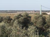 Villa Felline in 14000 qm großen Olivenhain - Chambres d'hôtes San Pietro In Bevagna