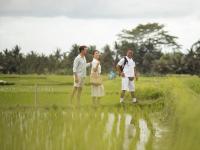 Ema homestay - B&B Dambulla