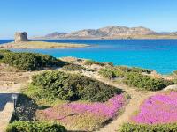 IDA PALACE, nuovo appartamento deluxe fronte mare - B&B