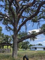 Old Oak Ranch - B&B Cameron