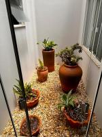 Casa em Toledo 1 suíte e 2 quartos confortável - B&B Toledo