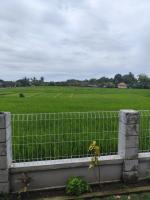 Umo Dewi - B&B Krambitan
