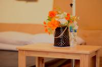 6-Bed Mixed Dormitory Room