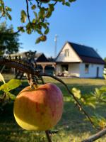 Domek w Tleniu - B&B