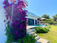 Villa Nysa - B&B