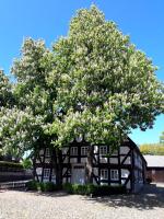 Vakantiehuis Hof Ewers - B&B Medebach