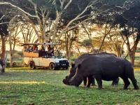 AfriCamps at Bonamanzi Game Reserve - Ferienwohnung