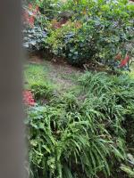 Hospedaria Aconchego - B&B