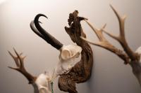 Hotel Garni Madrisa - Ferienwohnung Brand