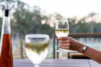 Ironbark Hill Villa 3 Saperavi - Bed and Breakfast Pokolbin