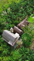 Mimpi of Orangutan Adventure, TREK ONLY BOOK WITH US - Chambres d’hôtes Timbang Lawan
