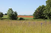 Guesthouse with sauna on Söderslätt - Ferienwohnung Vellinge