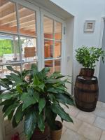 Gîte de la Lorada - B&B Nouaillé-Maupertuis