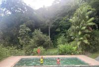 Nature Cottage - B&B Guapimirim
