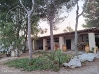 B&B Le Amazzoni - B&B