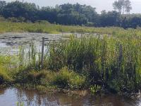 Lugar lazer e descanso - B&B Brotas