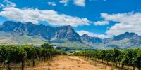 Esperon - Chambres d'hôtes Stellenbosch