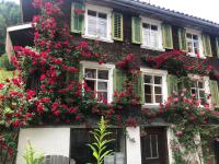 Historic Swiss Room mit Badeplatz im Fluss - B&B Brunnadern