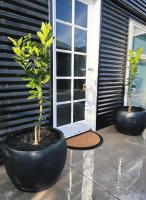 Hidden Haven - Urban Oasis - Secret Space - Off-street parking - Ferienwohnung Dubbo