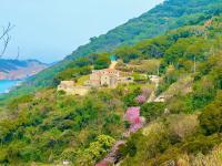 芹壁山莊 - B&B Piqian