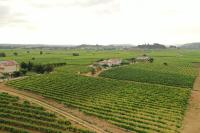 Soul Farm Mas els Igols - Bed and Breakfast Torrelles de Foix