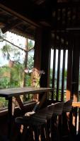 Mộc Trà Farm - B&B