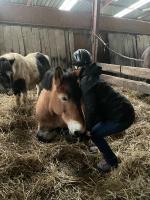 Voyelles - Bed and Breakfast Chuffilly-Roche