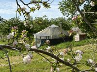 Dragon Orchard Retreat - B&B Ledbury