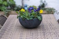 5 Stockland Street - B&B Caerphilly