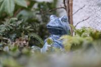 5 Stockland Street - Bed and Breakfast Caerphilly