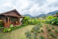 Green Lava Mountain View Cabin Bedugul by IHM - B&B