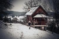 Etno dom Bubalo - B&B