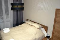 One Bedroom Apartment 9