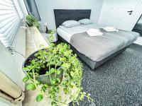 One-Bedroom Apartment with Terrace