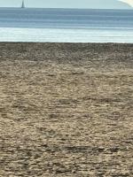 La Faviere T2 4pers RDC avec Terrasse - Ferienwohnung Bormes-les-Mimosas