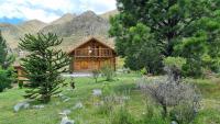 La Araucaria - Bed and Breakfast Potrerillos