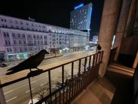 City Center Apartments - B&B
