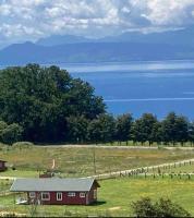 Linda Casa en parcela, 3 minutos de frutillar Bajo - Chambres d’hôtes Frutillar