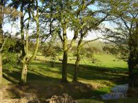 Cottage mit 1 Schlafzimmer