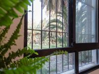 Oasis Urbano Elche - Terraza y Vistas al Palmeral junto al Centro - Chambres d'hôtes Elx