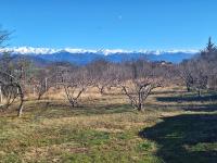 Guest house of gnomes - Chambres d’hôtes Akhmeta