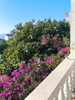 Appartamento con 2 Camere da Letto e Terrazza