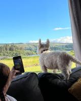 Dulrush Self-Catering Lodges - Ferienwohnung Belleek