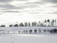 Hasselhäuser Hasselhaus 4 - B&B Hasselfelde