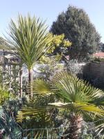 Villa Les Palmiers - B&B Saint-Jean-de-Monts