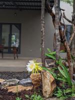 The Honey House Eco Lodge and Camping - B&B