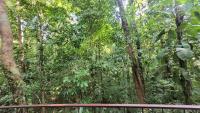 Nature Lovers Quepos - B&B