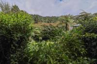 Lake Okareka Oasis - B&B