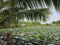 Phú Điền Homestay - B&B Tân Phú